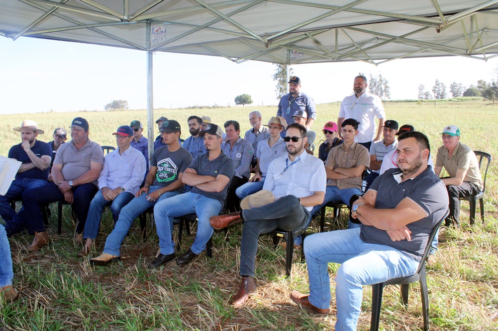 Mais de 100 produtores participaram do Dia de Campo sobre Integração Lavoura/Pecuária no Bairro Tropical